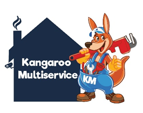 kangamultiservice.com